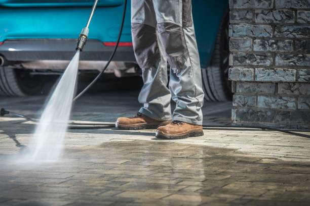 Best Rust Removal  in Carle Place, NY