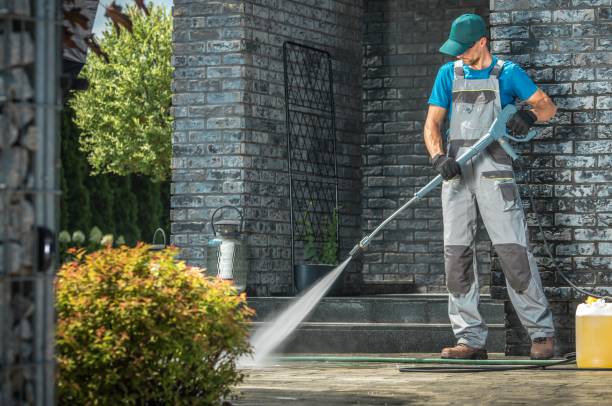Best Driveway Pressure Washing  in Carle Place, NY