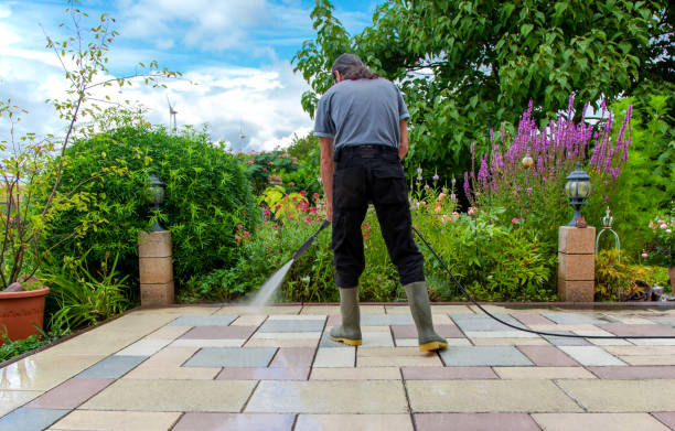 Best Pool Deck Cleaning  in Carle Place, NY