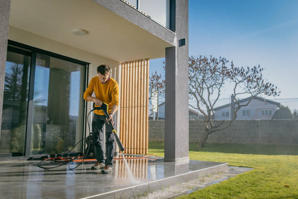 Best House Exterior Washing  in Carle Place, NY